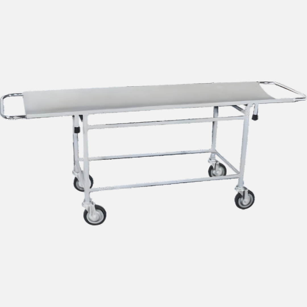 Hospital stretcher trolley with removable stretcher by Bharat Surgical Impex Gurugram
